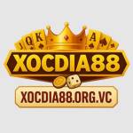 XOCDIA88 Profile Picture