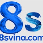8S VINA Profile Picture