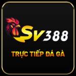 Following profile image