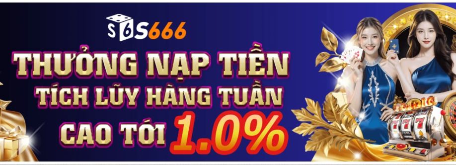 S666 VN cover