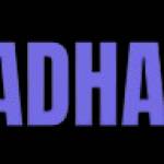 akbadhak llc Profile Picture