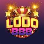 LOBO888 COM Profile Picture
