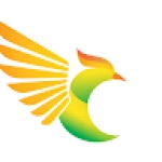 Following profile image