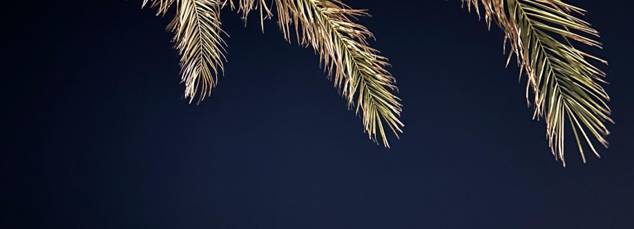 محمد Cover Image