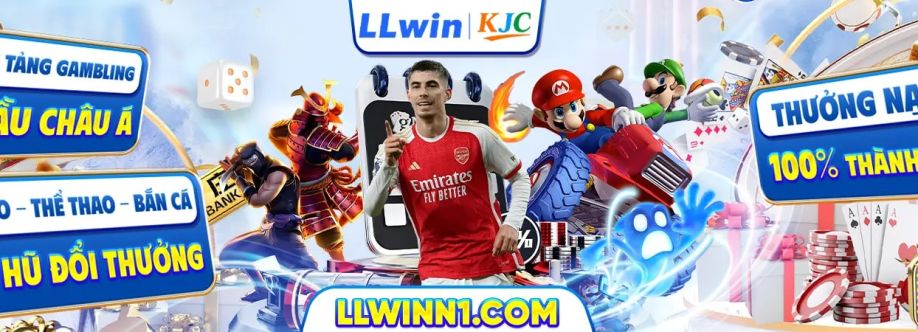 LLWinn1 Com cover