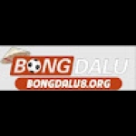 Bongda lu Profile Picture