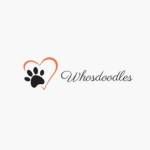whosdoodles Profile Picture