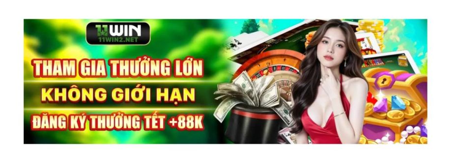 11WIN 2NET cover
