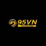 95VN 5pro