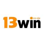 13WIN Profile Picture
