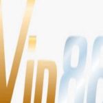 VIN88 Profile Picture