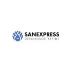 SanExpress Depannage Rapide Profile Picture