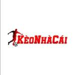 Tỷ Lệ Kèo Nhà Cái Profile Picture