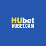 Hubet cam