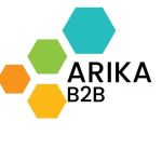 Arika B2B