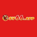 Sv66 app