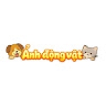 Ảnh Động Vật Profile Picture