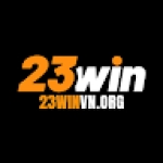 23Winvn org Profile Picture