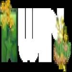 Following profile image