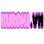 Kuromi vn Profile Picture