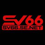 SV66 SE Profile Picture
