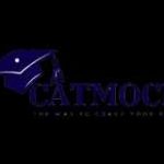 Cat Mock Profile Picture