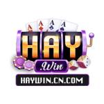 Haywin Cổng Game Bài Profile Picture