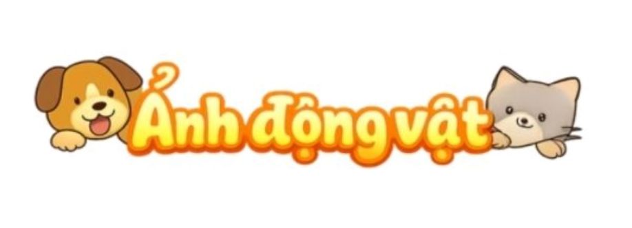 Ảnh Động Vật cover