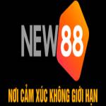 New88blog Org Profile Picture
