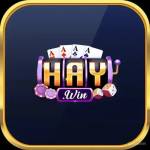 2Haywin io Profile Picture