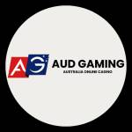 AUDgaming casino Profile Picture
