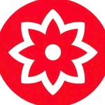 Following profile image