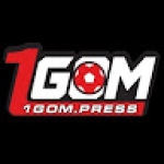 1GOM Profile Picture