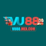 VU88 mexcom mexcom Profile Picture