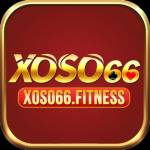 Xoso66 fitness Profile Picture