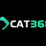 CAT368 Profile Picture