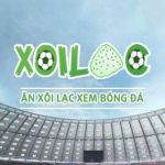 Xoilac TV Trực Tiếp Bóng Đá Profile Picture