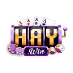 Hay win Profile Picture