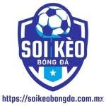 soi kèo bóng đá Profile Picture