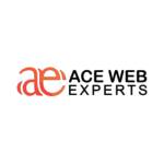 Ace Web Experts Profile Picture