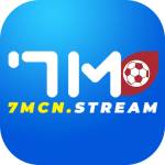 7mcn stream Profile Picture