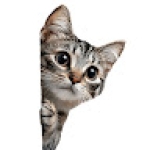 Following profile image