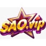 SAOVIP Profile Picture