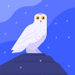 Following profile image