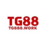 Tg888 work Profile Picture