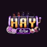 haywin de com