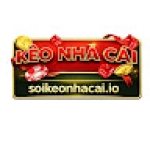 ThienThu DieuHong8427 Profile Picture