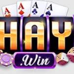 Haywin in net Profile Picture