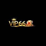 VIP66 Profile Picture