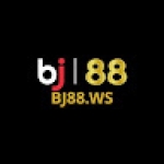 Bj88 ws Profile Picture